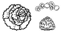 Produce Collage 1.eps