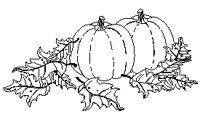 Pumpkins 2.eps