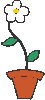 Daisy in Pot.eps