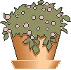 Plant in Pot.eps