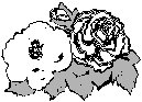 Roses.eps