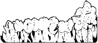 Row of Flowers.eps