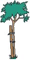 Tree Tied to Stake.eps