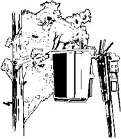 Trimming Tree.eps