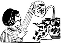 Woman Watering Plants.eps