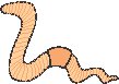Worm.eps