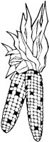 Corn - Indian.eps