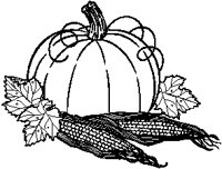 Pumpkin & Corn.eps