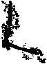 Inkblot L.eps