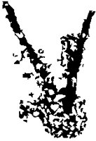 Inkblot V.eps