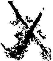 Inkblot X.eps