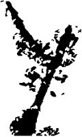 Inkblot Y.eps