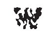 Zebra W.eps