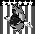 Eagle & Flag.eps