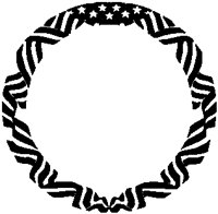 Flag Frame.eps