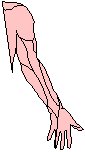 Arm - Right.eps