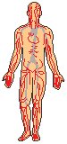 Body 1.eps