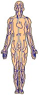 Body 2.eps