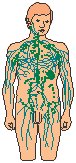 Body 4.eps