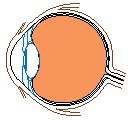 Eye - Inner 2.eps