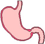 Gastrointestinal 1.eps