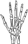 Hand 2.eps