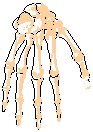 Hand 3.eps