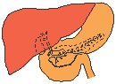 Internal Organs 1.eps