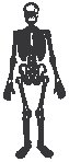 Skeleton 2.eps