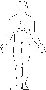 Skeleton 5.eps