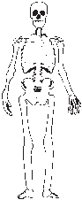 Skeleton 6.eps