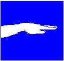 Wrist & Hand.eps