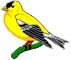 Bird Perched 2.eps