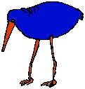 Bird Sketch 1.eps