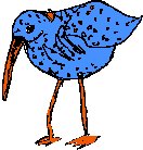 Bird Sketch 2.eps