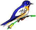 Bluebird 1.eps