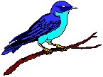 Bluebird 2.eps