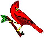 Cardinal.eps