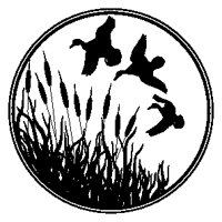 Cattails & Ducks.eps