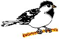 Chickadee.eps