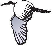 Crane Flying.eps