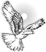 Dove Flying 5.eps
