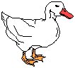 Duck.eps
