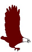 Eagle 05.eps