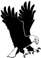 Eagle 07.eps