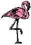Flamingo 2.eps