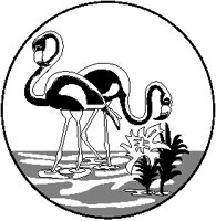 Flamingos.eps