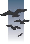 Flying 5.eps