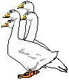 Geese.eps