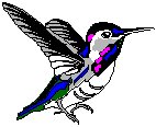 Hummingbird.eps
